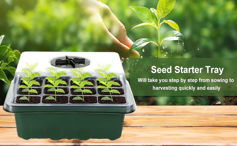 Seed Starter Tray