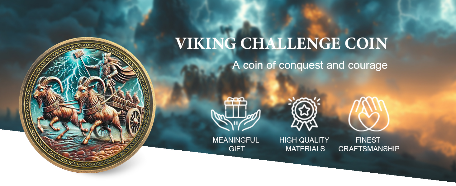 viking coin