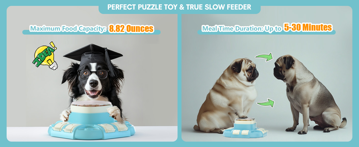 dog food puzzle