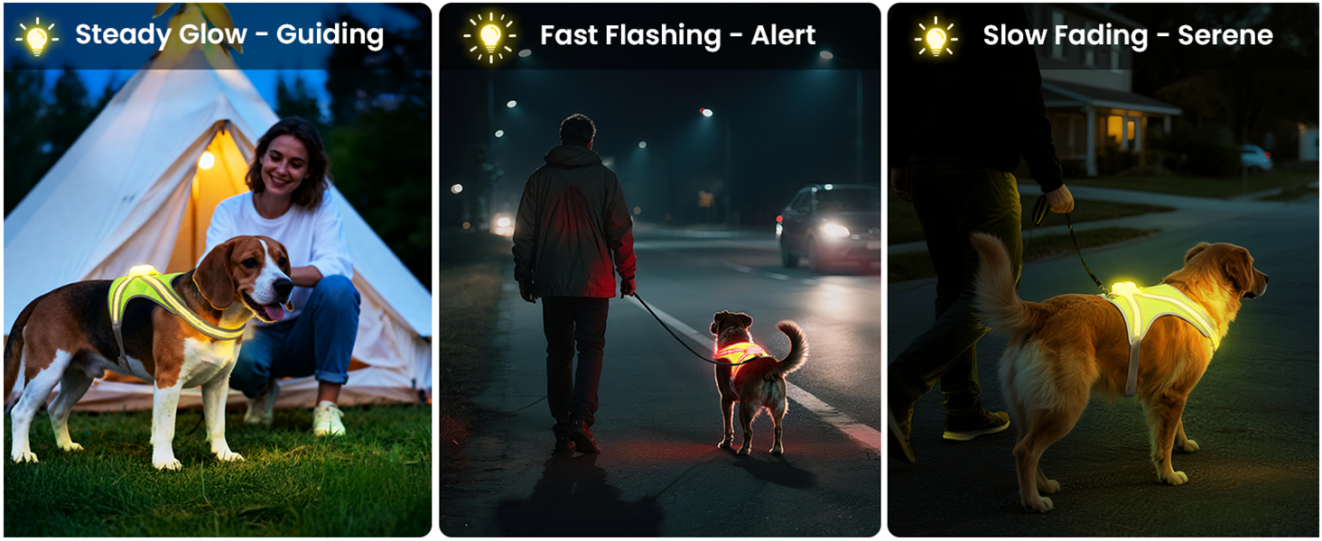 dog lights for night walking