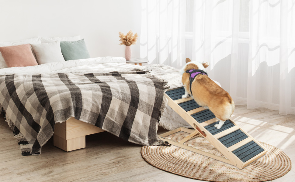 pet ramp outdoor