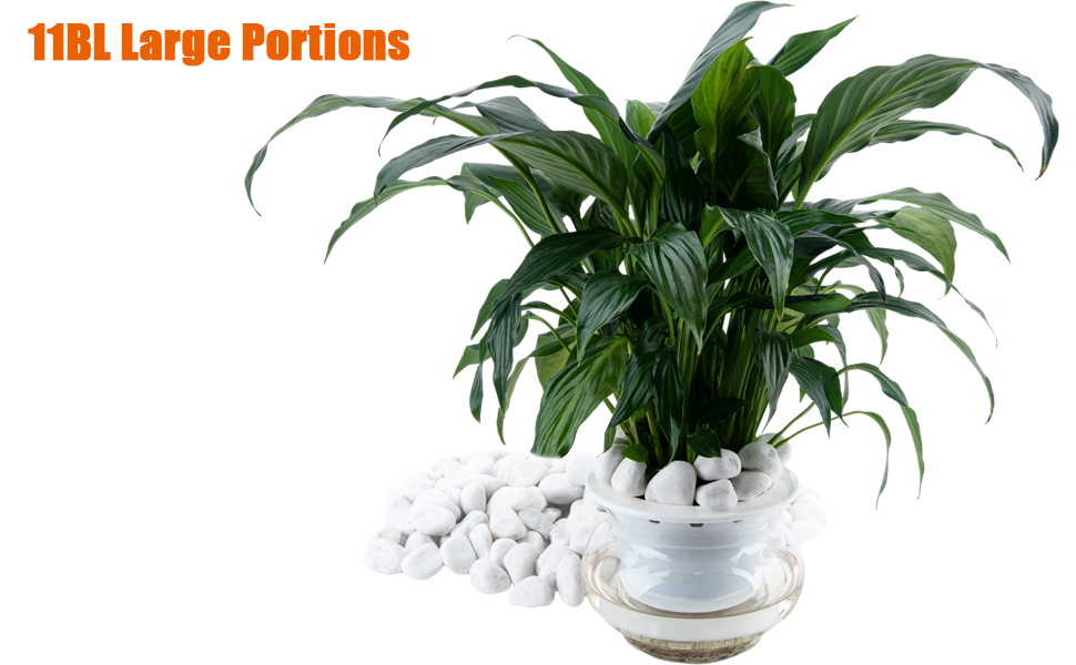 White Rocks for Landscaping, planters, vases, Painting