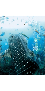 鍵井靖章　パイインターナショナル　絶版　三部 鍵井靖章パイインターナショナル絶版三部