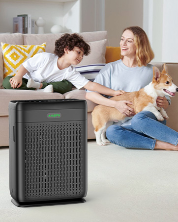 air purifiers for pets