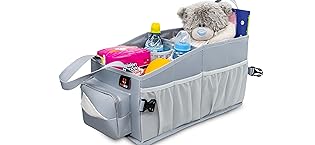Backseat Organizer