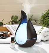 Air Oasis Dual Humidifier with Essential Oil Diffuser | 200ML Ultrasonic Humidification