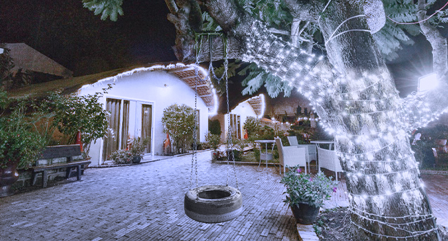 Christmas lights for tree