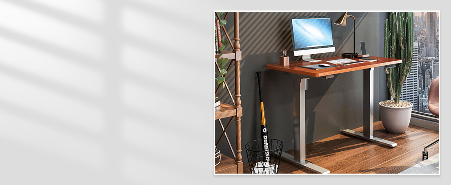 FLEXISPOT stand up desk