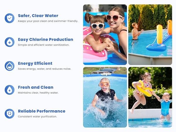 Amazon.com : EcoPooluxe Salt Cell Chlorine Generator for