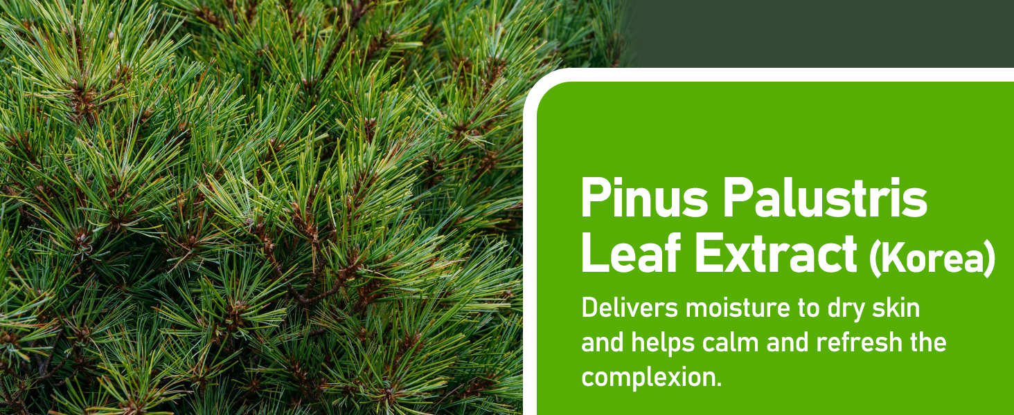 kelp extract toner;seaweed facial treatment;marine algae toner;hydrating algae toner;pine extract