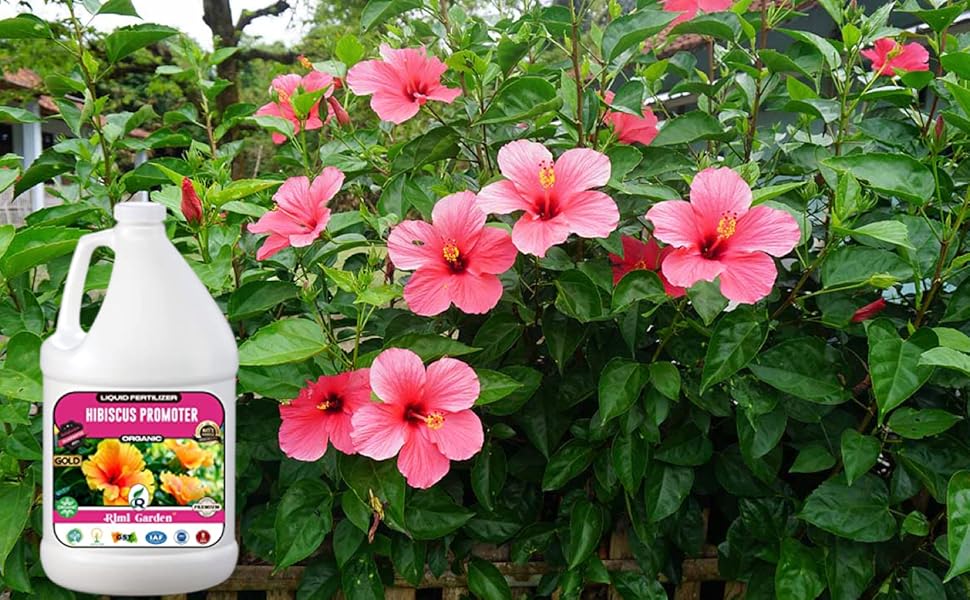 Rimi Garden® Hibiscus Promoter, Premium Essential Powerful Liquid