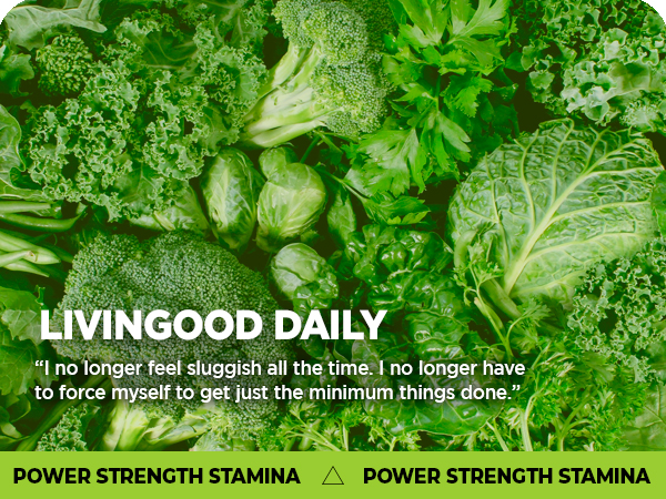 livingood daily energy support endurance immune booster adrenal men women focus