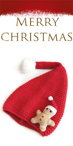 Christmas hat