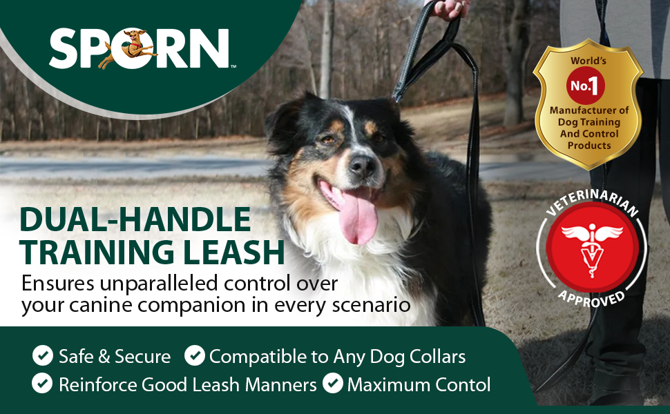 dog leash