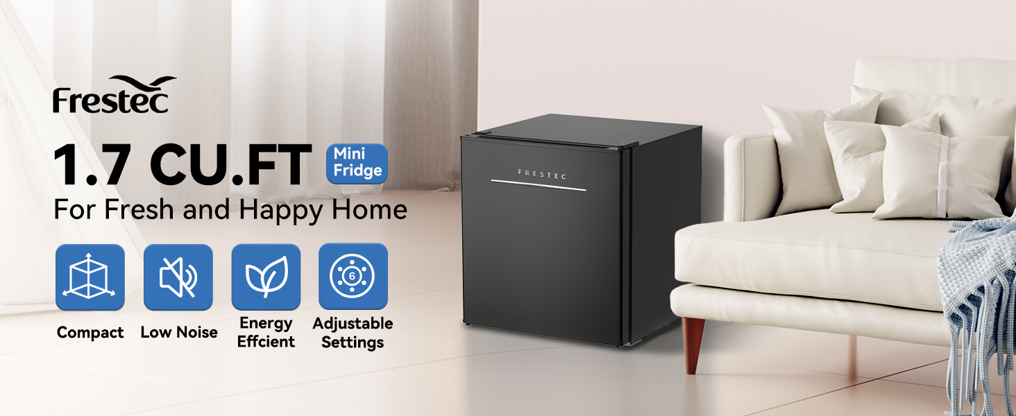 Mini Fridge with Freezer