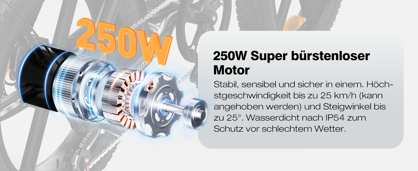 e bike herren