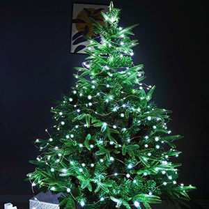 cool white fairy lights