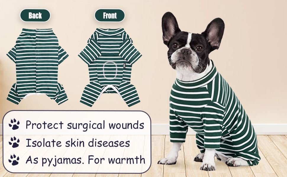 surgical suit for male dog 