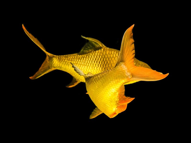 Large manufacture image 2