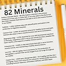 Celtic Sea Salt, Celtic Salt, Sea Salt, Celtic Sea, 82 Minerals