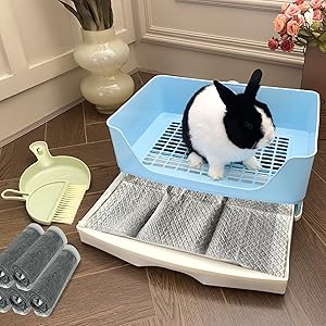 Large Rabbit Litter Box