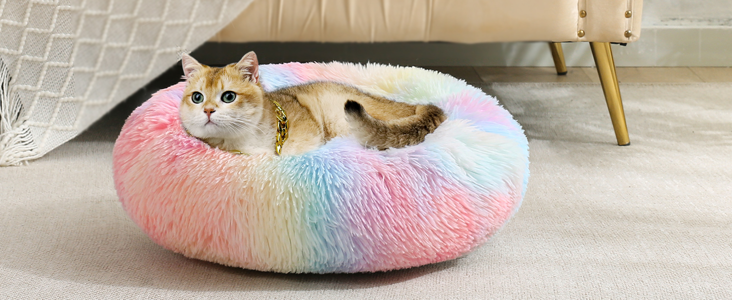 dog bed