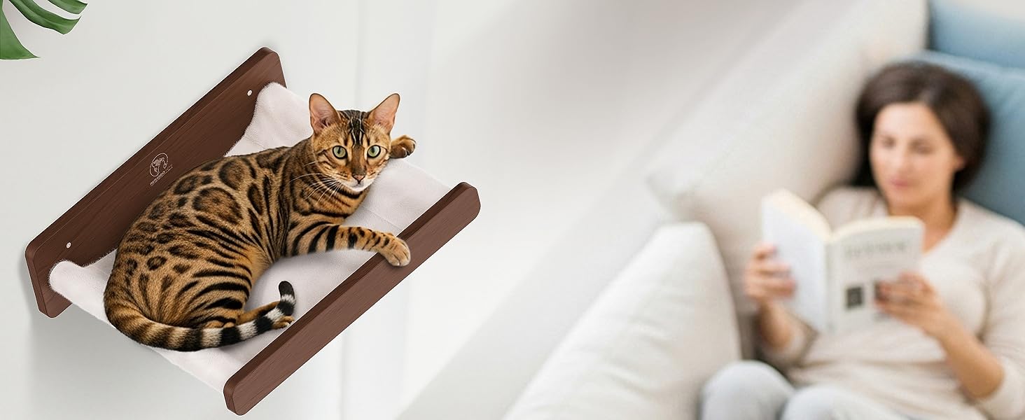Cat Hammock - Lifestyle Image Top View
