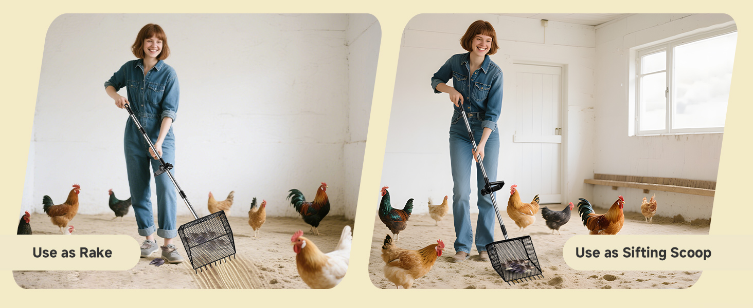chicken coop rake