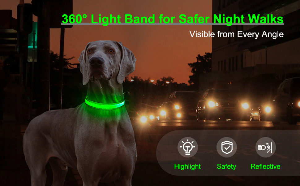 light up dog collar