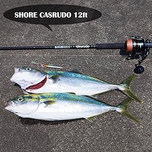 Amazon | オルルド釣具 ロッド ショアキャスルド 10ft ＆ シエナ