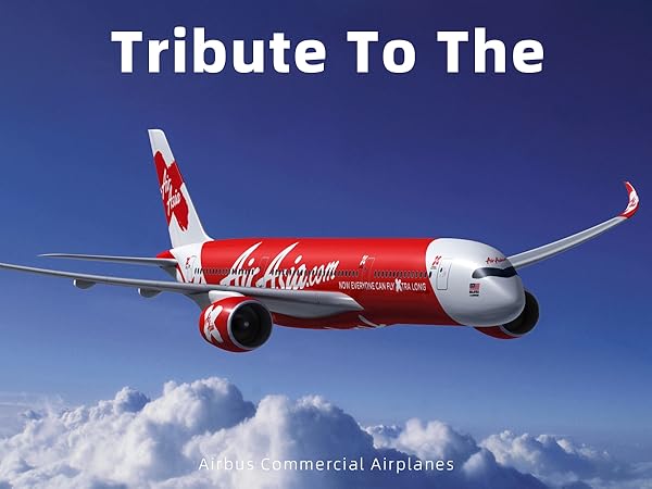 Amazon.com: QIYUMOKE A320 Asian 1/200 Diecast Metal Airplane