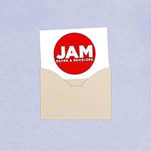 mini ivory commercial v-flap envelope