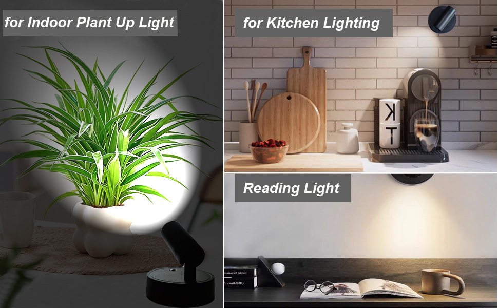 lighting indoor plant, tree, picture, artwork, painting