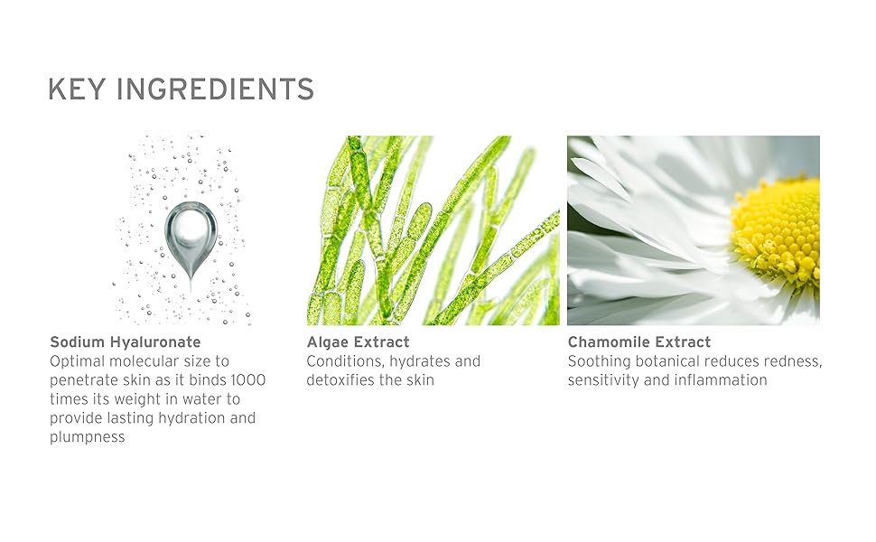 key ingredients 