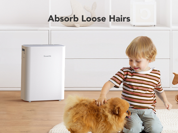 Absorb Loose Hairs
