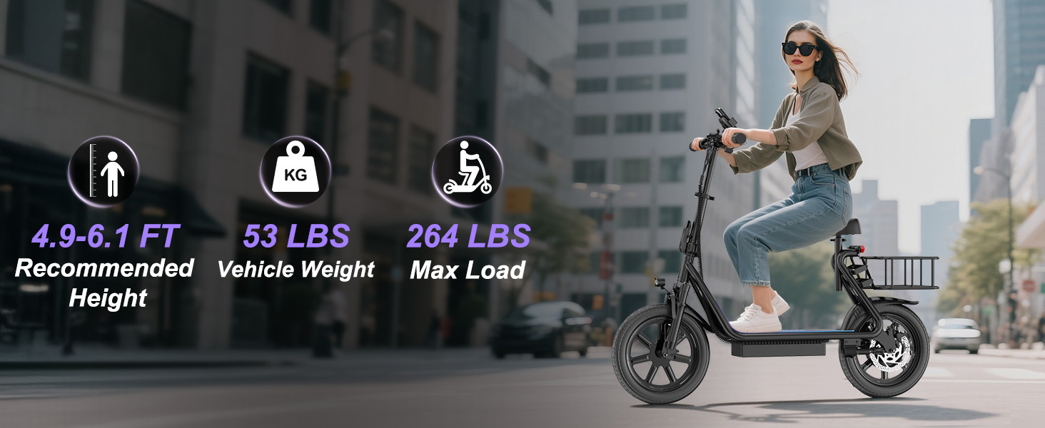 Electric Scooter Adults
