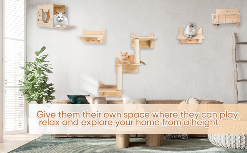 LADVATKIN Katzen Wandregale, Katzenwandmöbel Set, Katzenregale und  Sitzstangen für Wand, Kletterregal Spielplatz, Katzenkratzbaum mit 3 Stufen  Wandregal Innen Wandmontage Cat Condos Haus : : Haustier