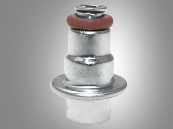 Amazon.com: QFS Fuel Pressure Regulator for 1995-2025