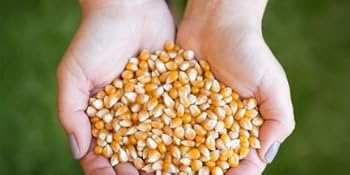 Small manufacture image 11