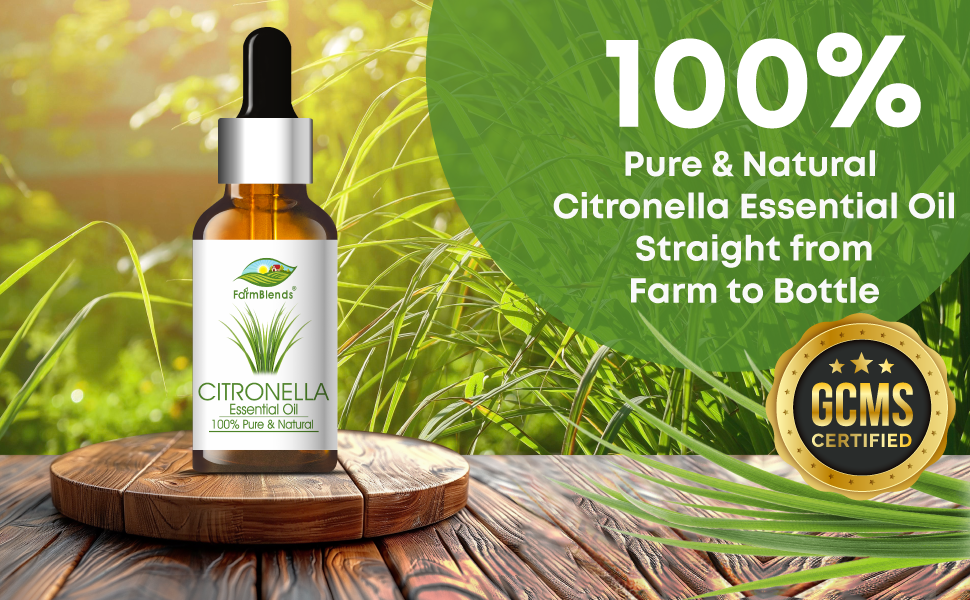Cintronella essential oil