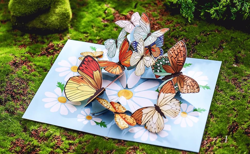 liif lovepop pop up paper love 3d greeting card butterfly