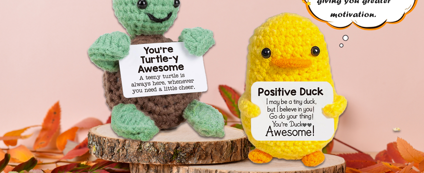 Positive turtle and Positive Duck