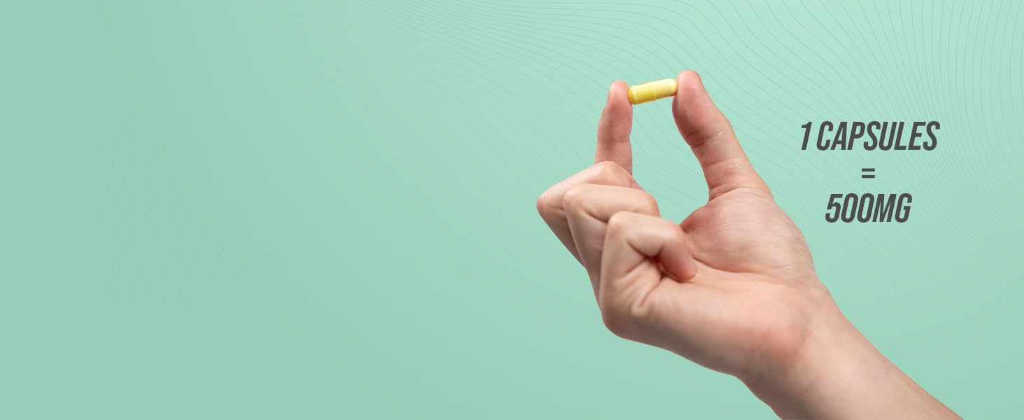 Recommended Serving - Egg Shell Membrane Capsules - Desktop