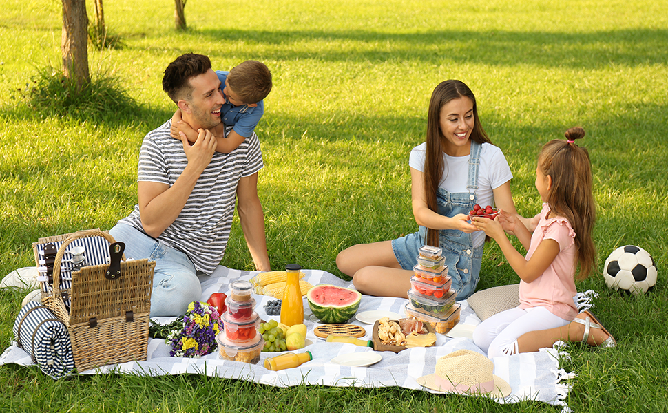 Family enjoying a picnic in a sunny park. Wicker basket, various foods, and drinks spread on a blanket. Soccer ball visible nearby.