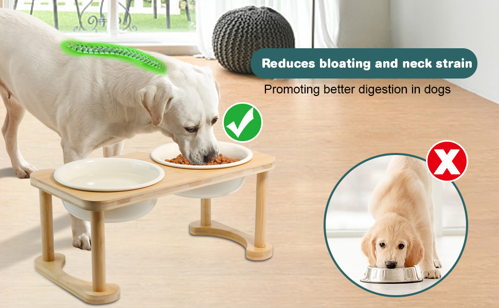 Pet Supplies Elevated Ceramic Dog Bowls, Porcelain Raised Dog Bowl