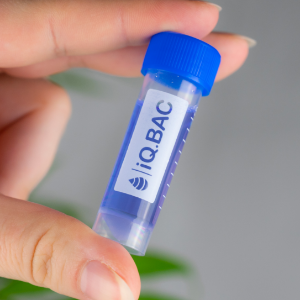 Small manufacture image 3