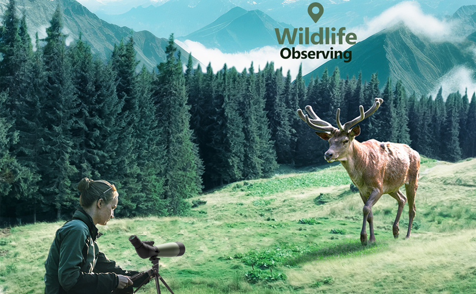 Gosky 2060x80 Spotting Scope with Tripod, Carrying Bag and Scope Phone