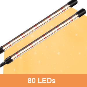 80 leds