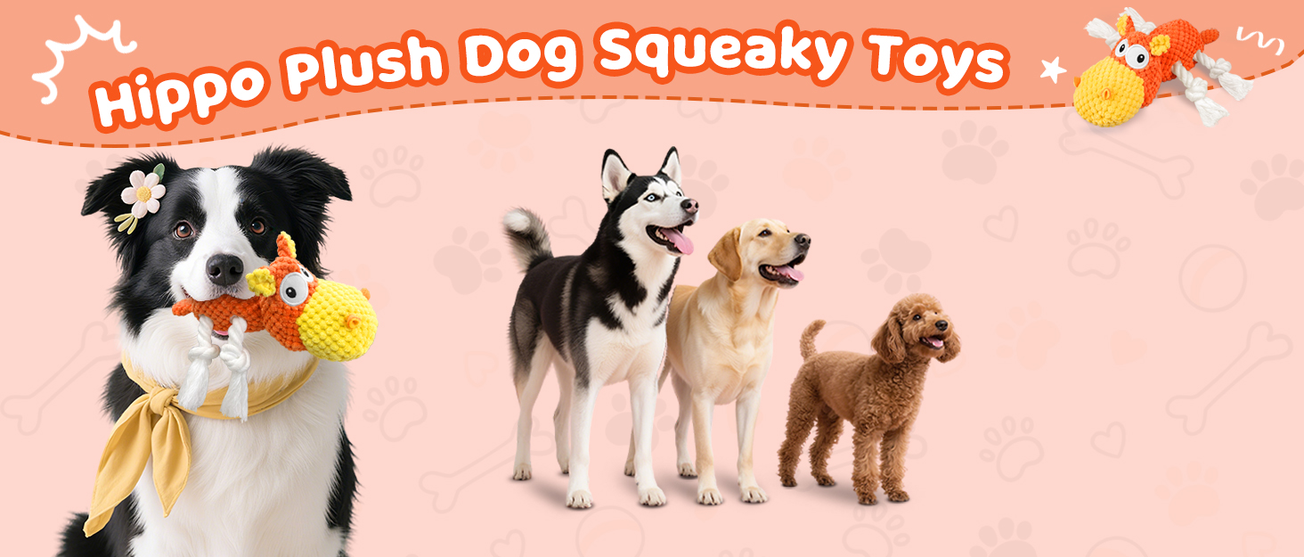 dog toy