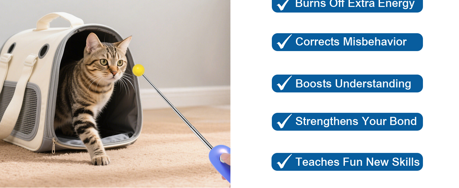 Cat Training Clicker Kit